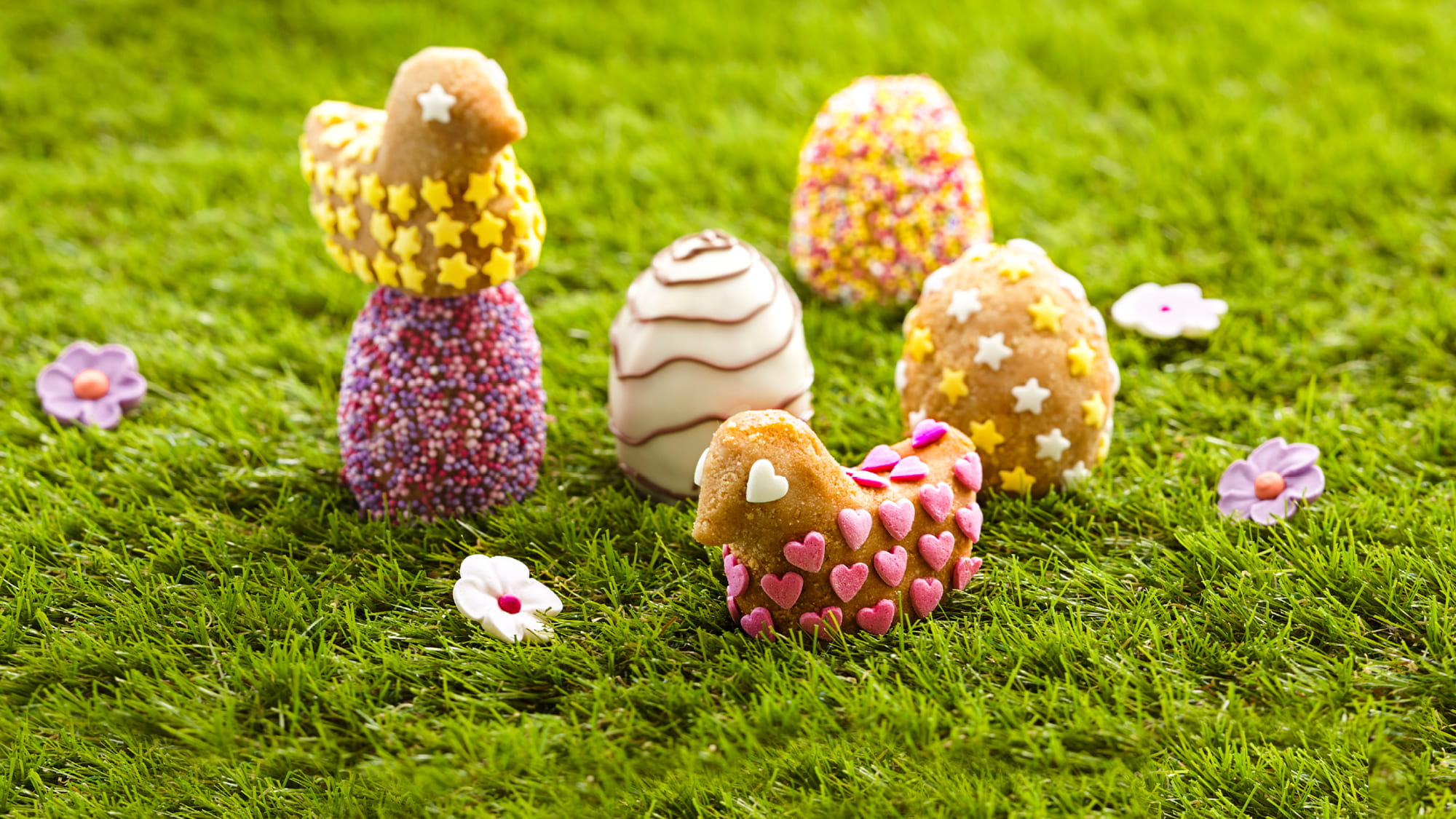  Œufs de Pâques en chocolat